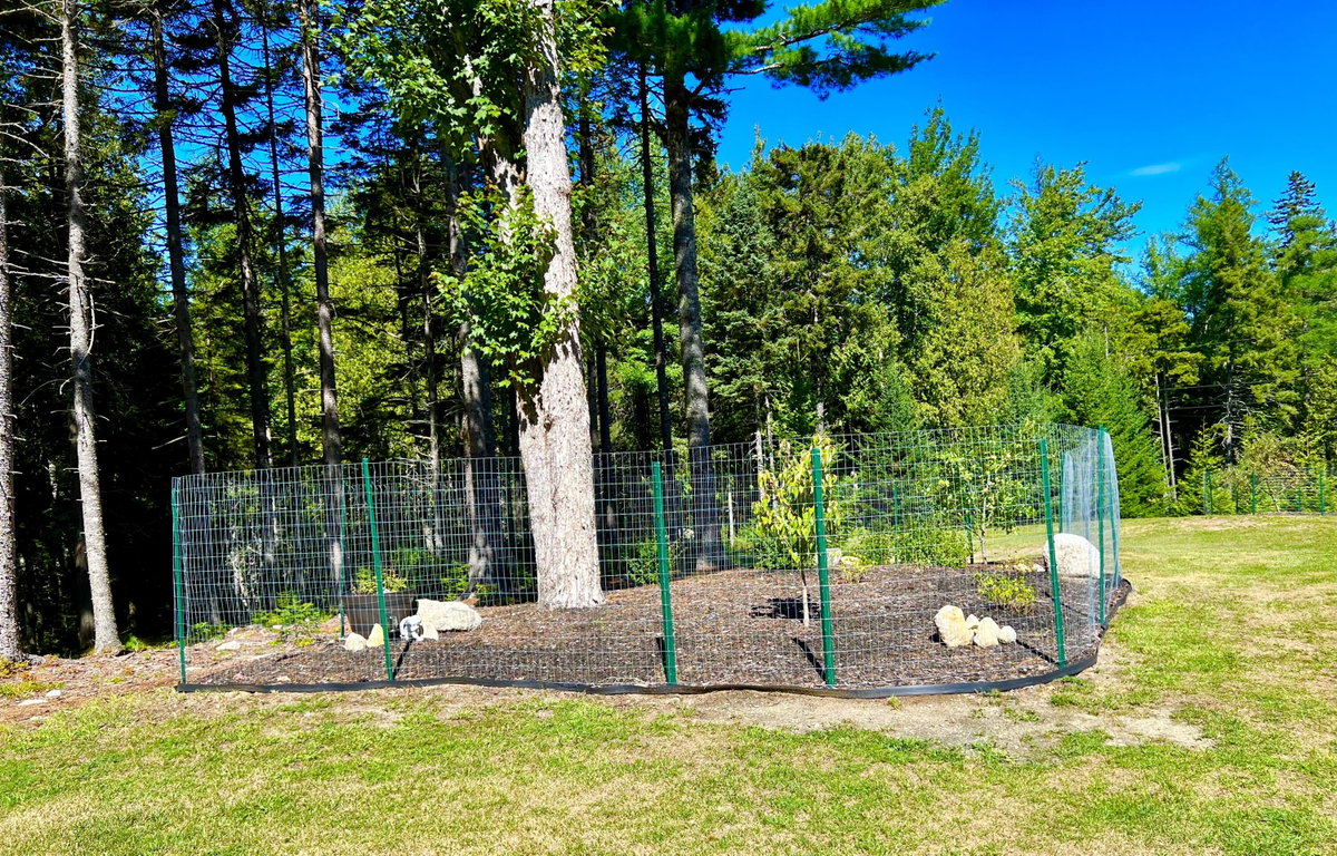 Gardens
