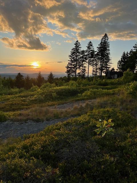 533 Mt Ephraim Road Searsport