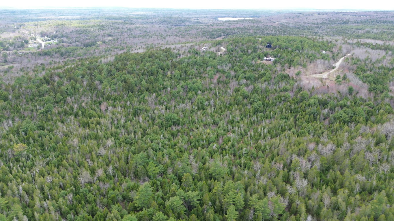 Mostly Wooded