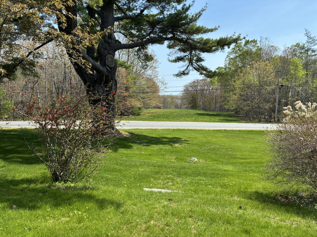 Field across road w/seasonal views.