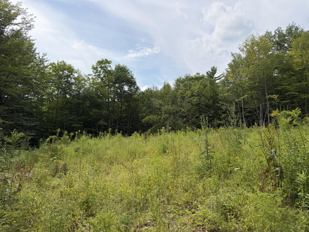 Lot 60&116 Plaisted Road Jay