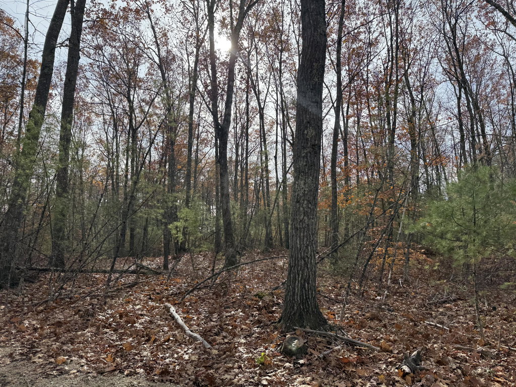 Lot 5 St. Laurent Way Shapleigh