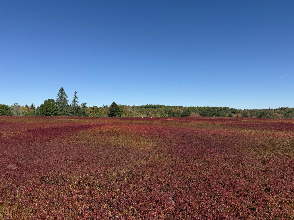 MAP 31 LOT 29