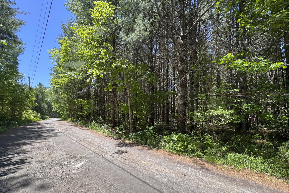 lot 14 Mountain View Lane Hope