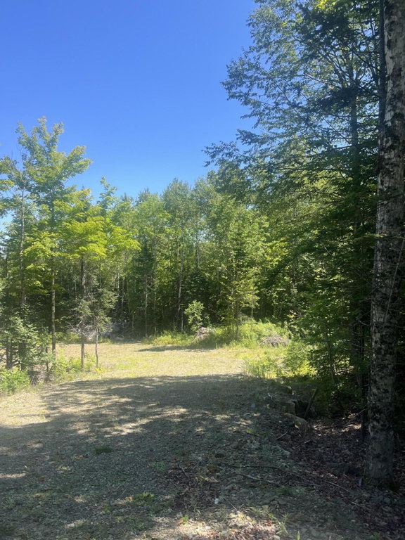 Lot 23.3 Forest City Road Forest City Twp