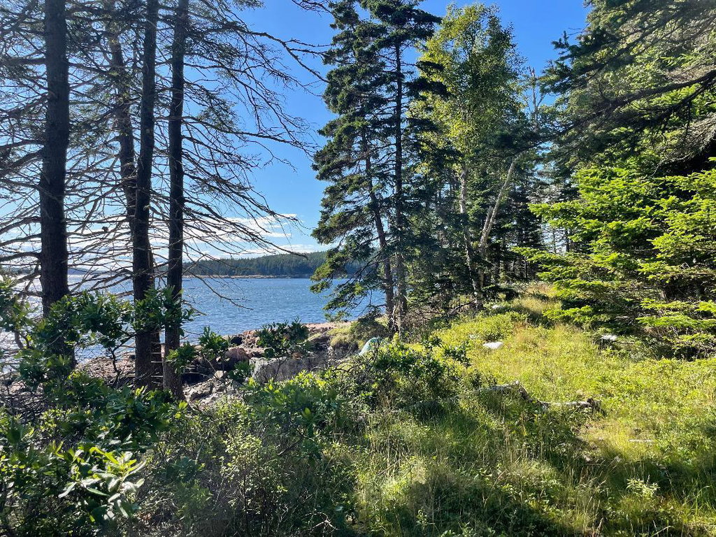 56 Jordan Harbor Road Winter Harbor