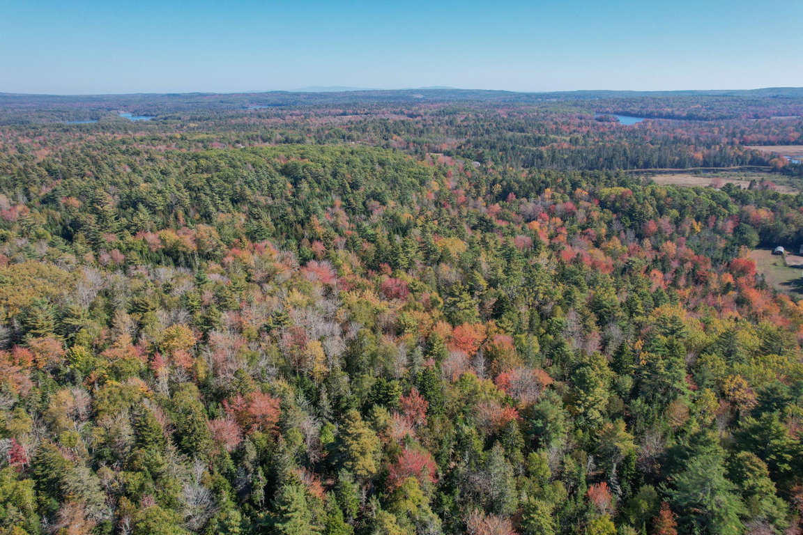 DJI_0212