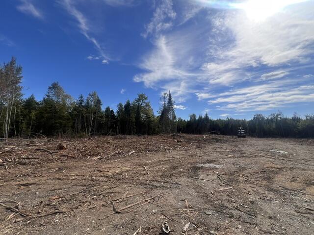 Lot 4.3  Off Estabrook Road Cary Plt
