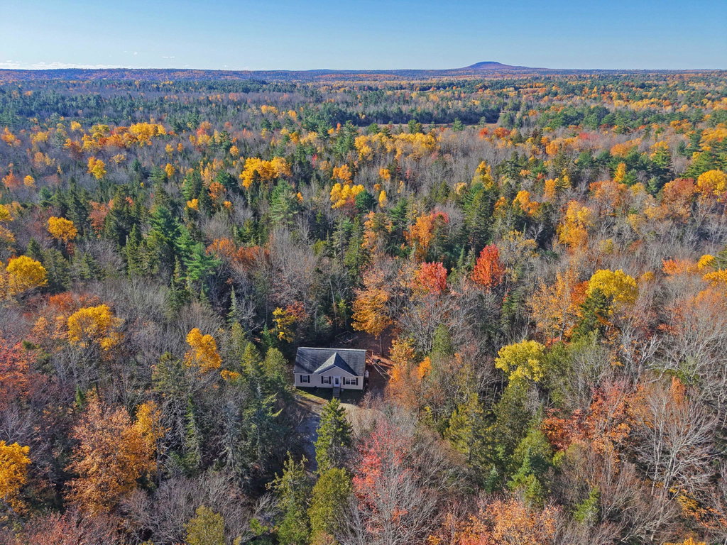 1b