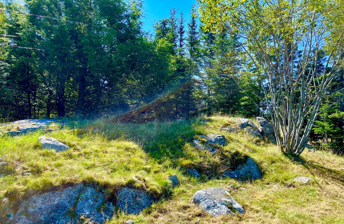 Grounds