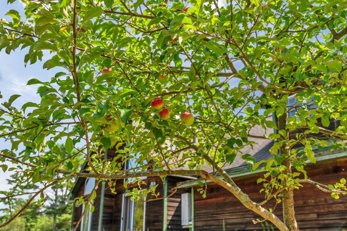 32-web-or-mls-368-partridge-cove-rd