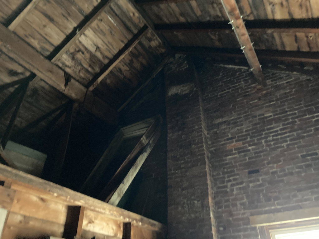 Original carrying timber in attic.
