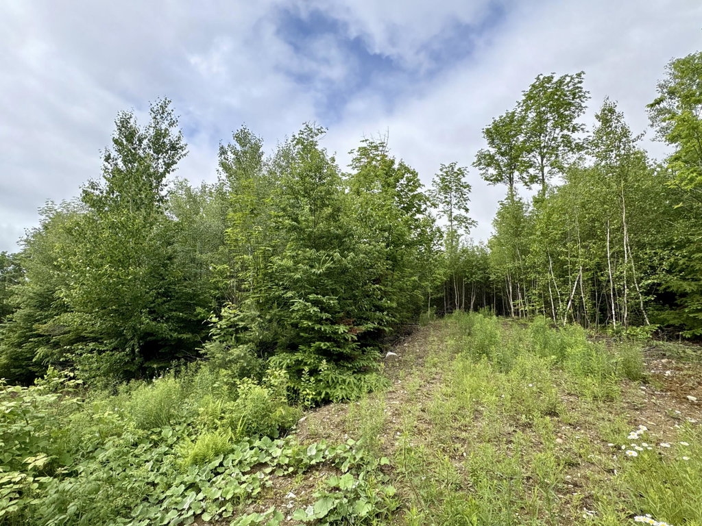 Lot 5 Mt. Jefferson Heights Lee