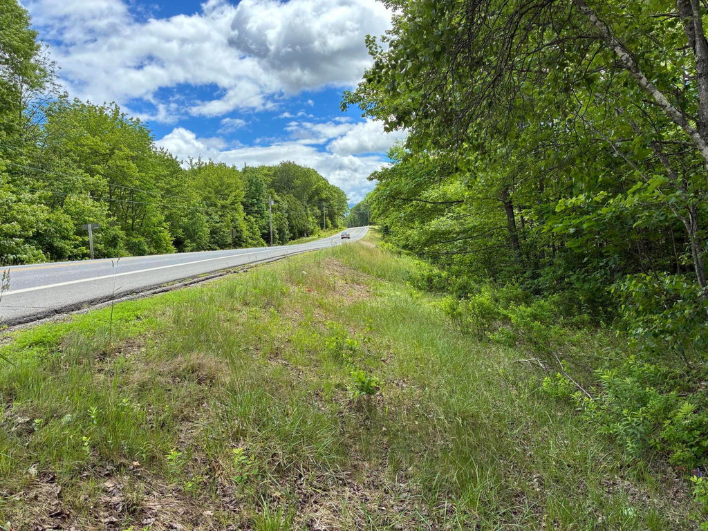 Lot #40 Route 17 (Augusta Road) Road Washington