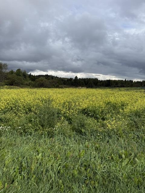2 Charette Hill Road Fort Kent