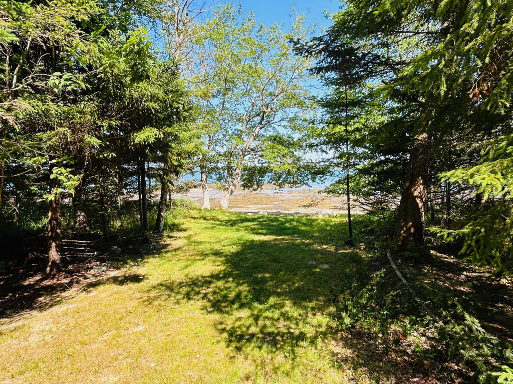 Path to shore