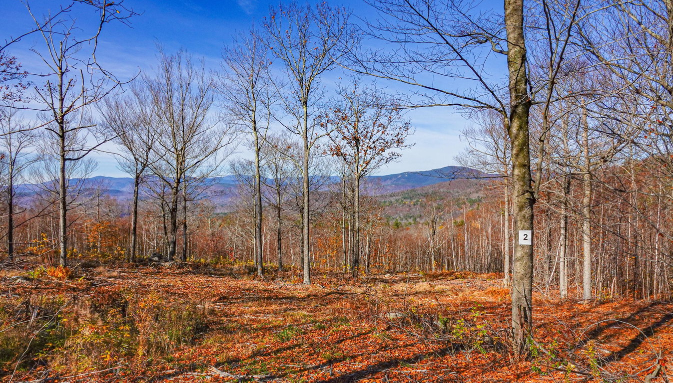 Lot 2 Mine Road Stoneham