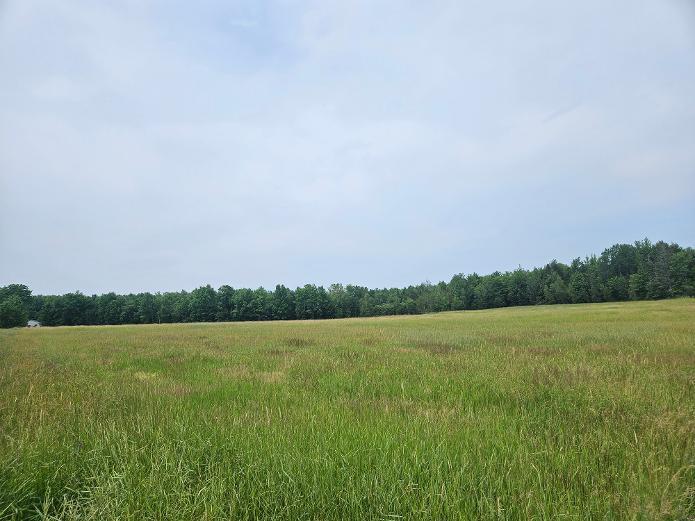 15-A Snakeroot Road Pittsfield