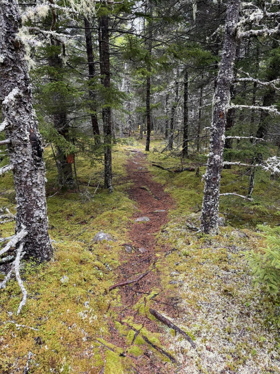 trail to secret beach