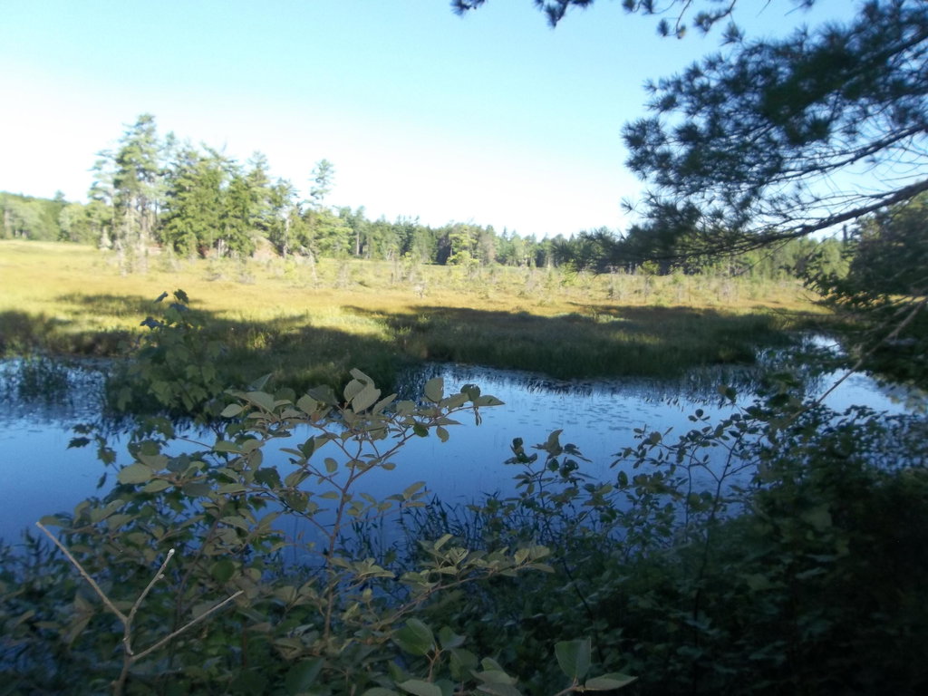 Lot 12 Hayward Point Road Day Block Twp