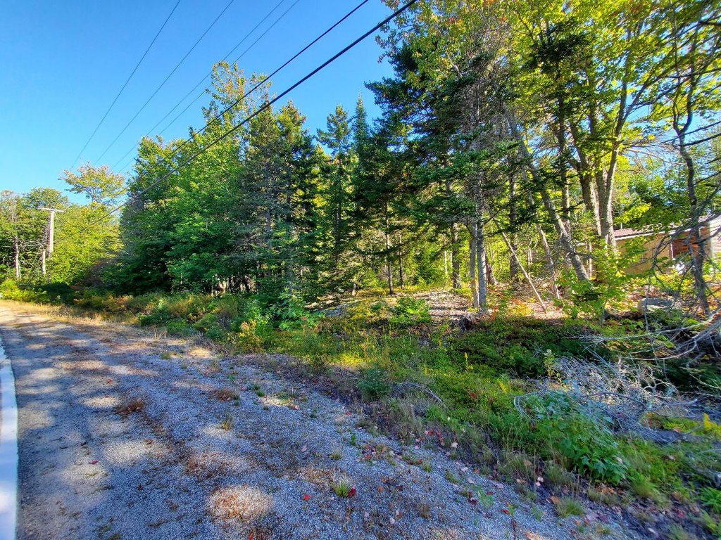 Reach Rd looking towards Folly Rd