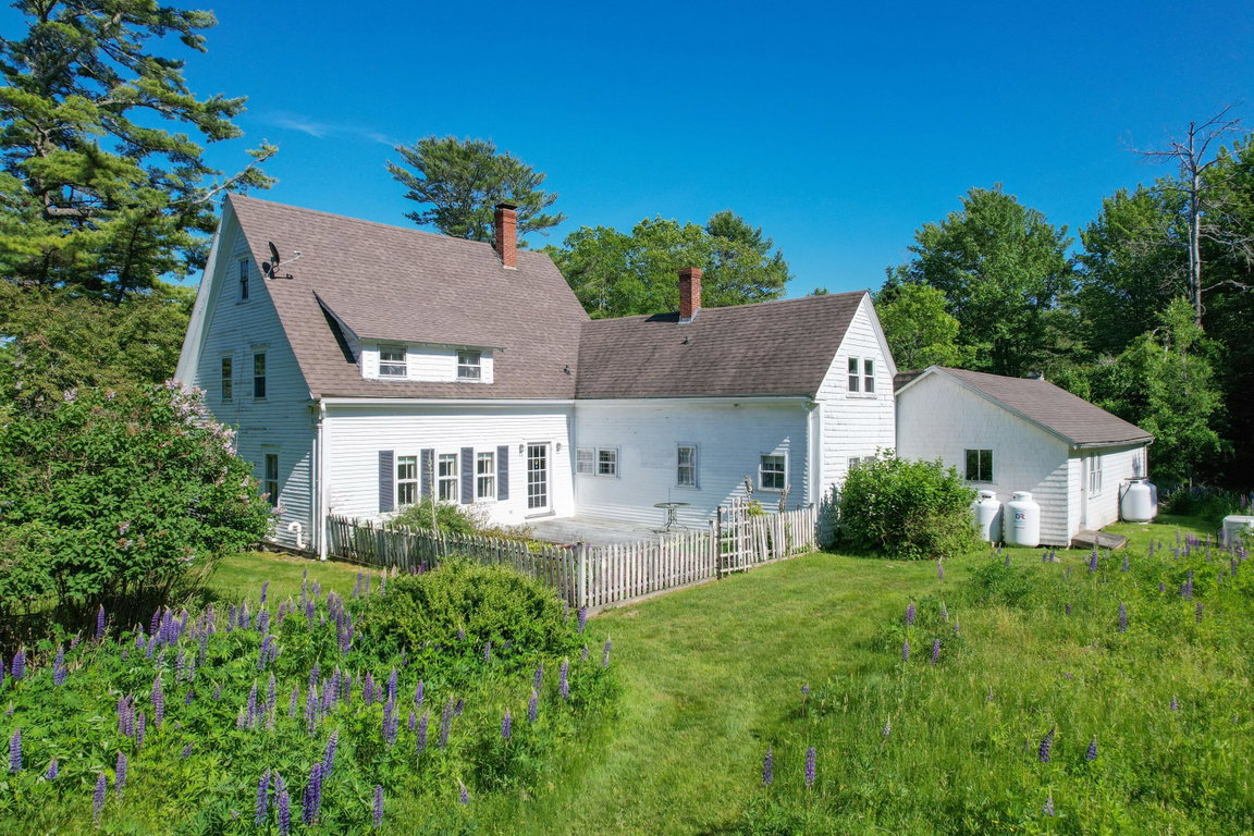 Lupine field and rear of house.