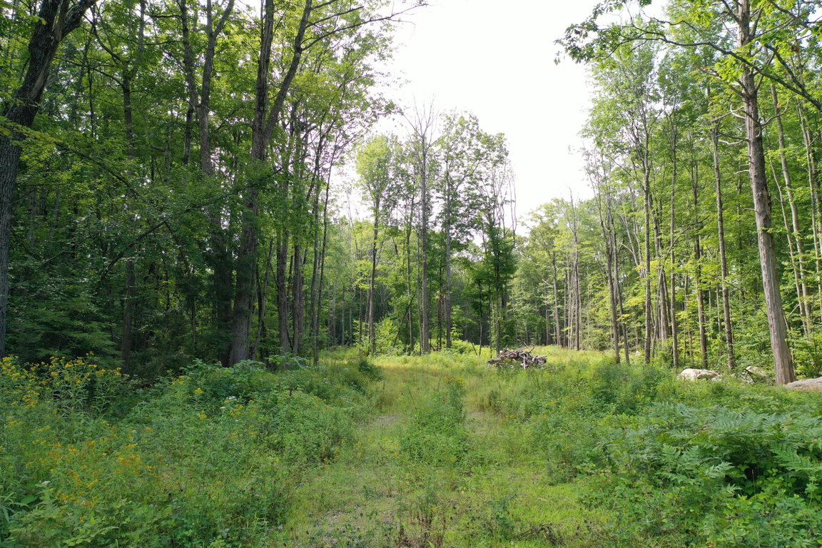 255 Ross Corner Road Shapleigh