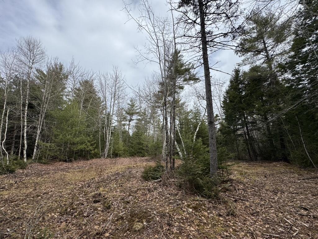 Lot 63