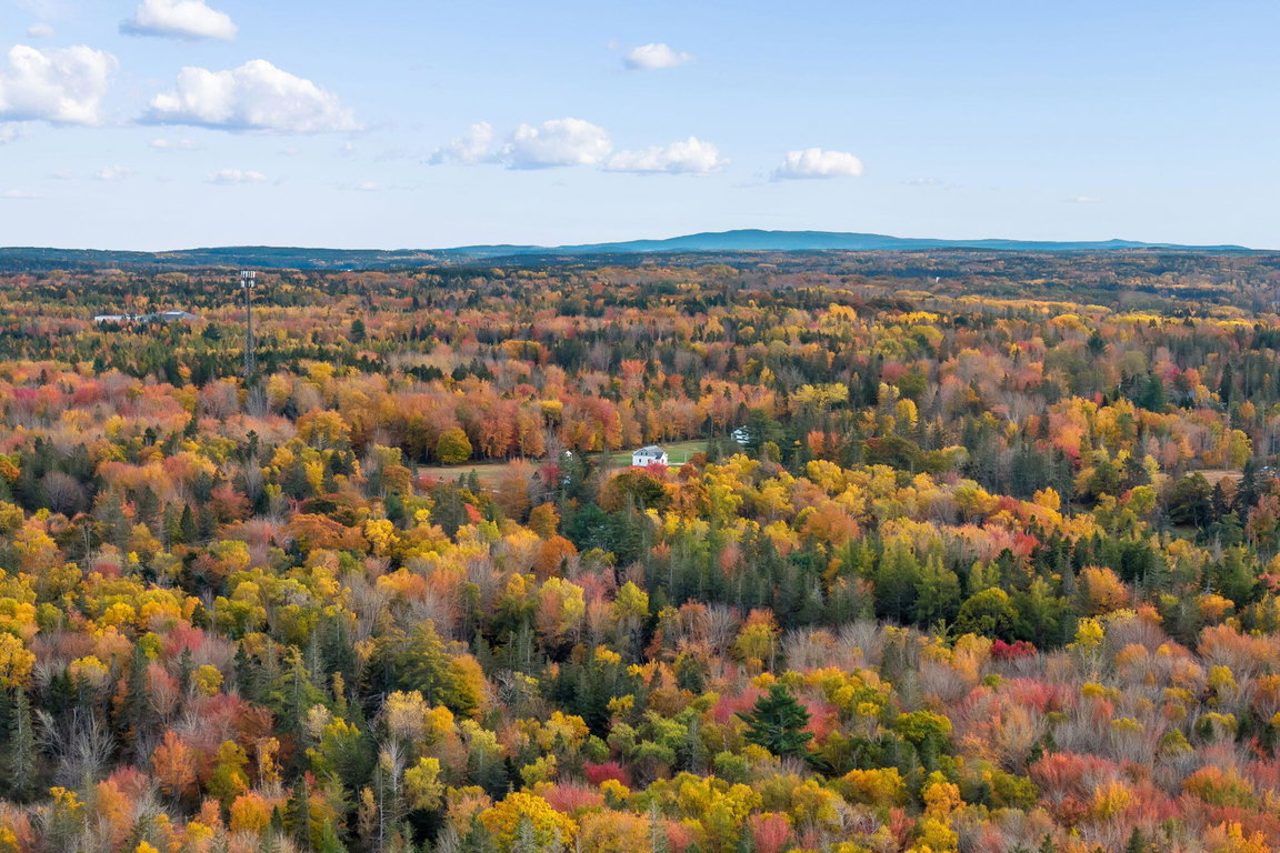 21-web-or-mls-495-north-deer-isle-land