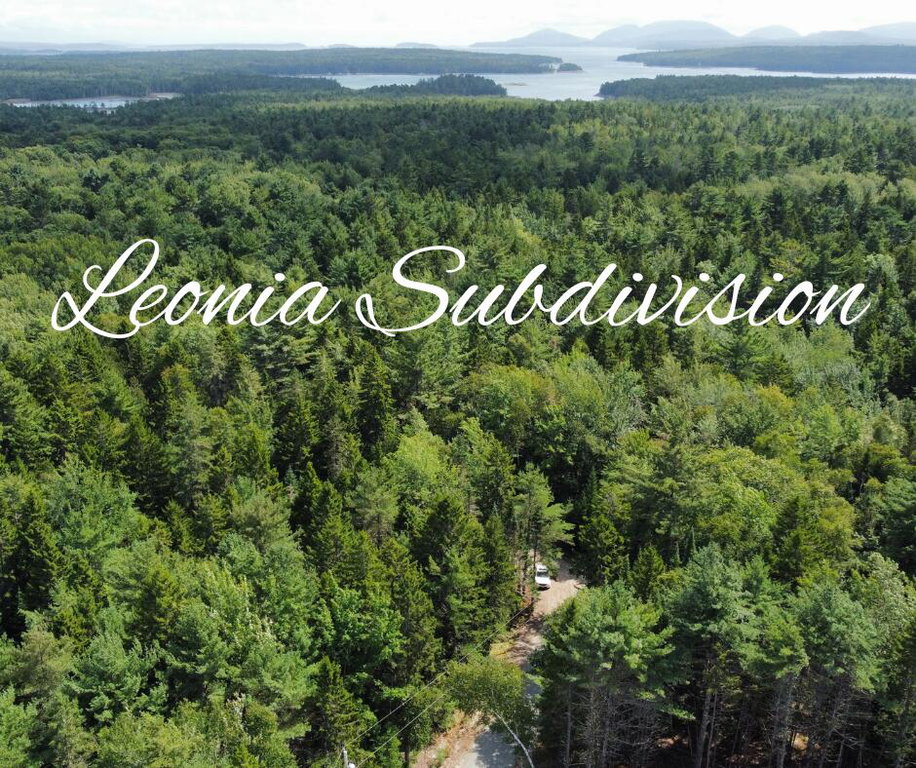 Lot #5 Leonia Road Hancock