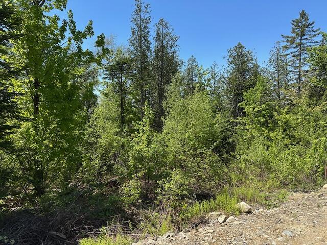Lot 12 Mt. Jefferson Heights Lee