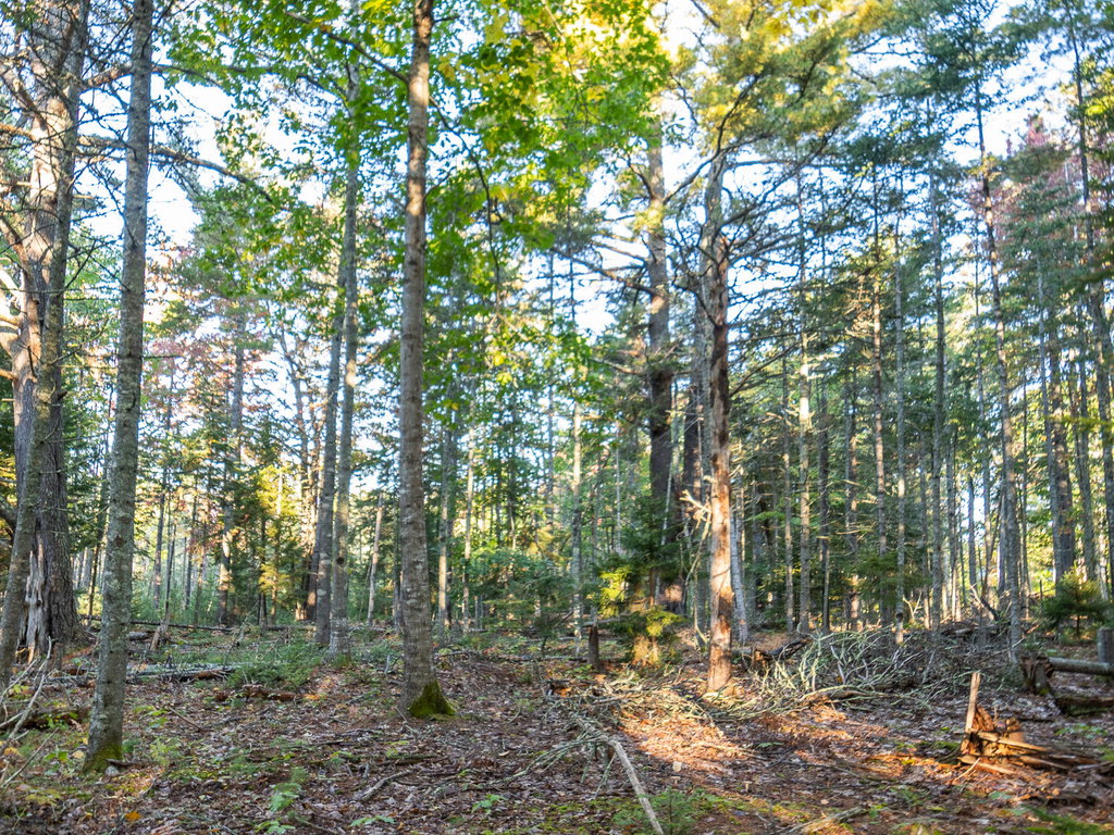 Knox Rd Land