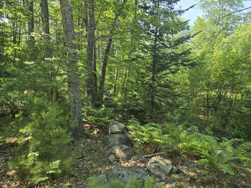 00 Head Tide Hill Road Alna