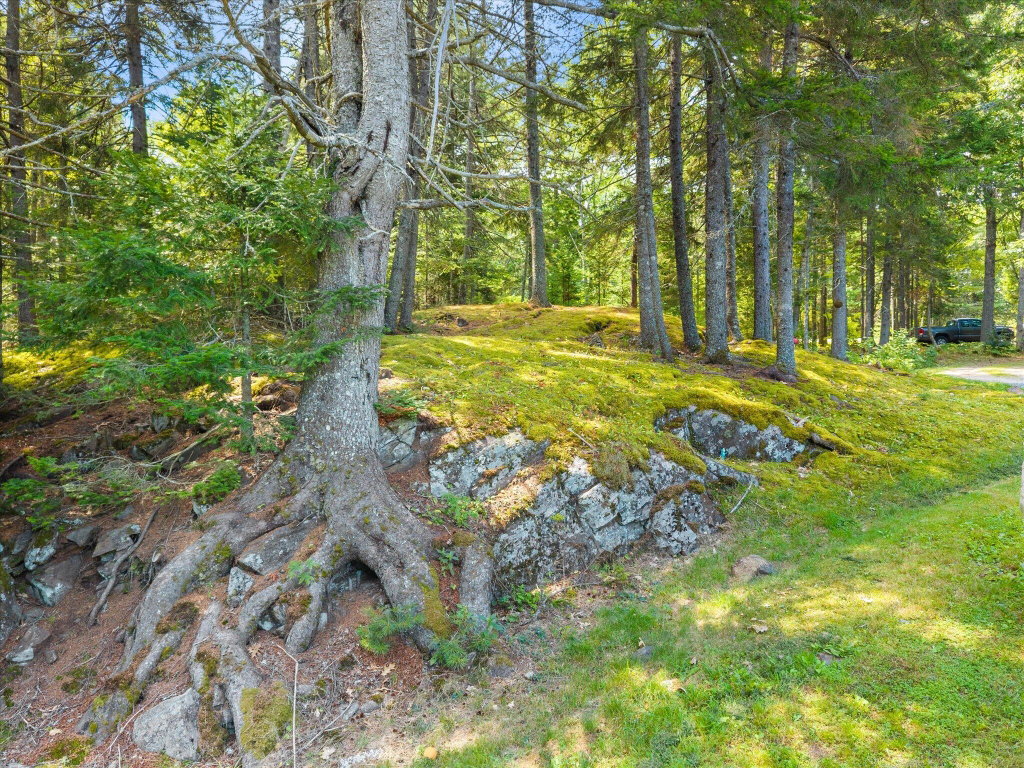 59-315 Hinkley Ridge Rd