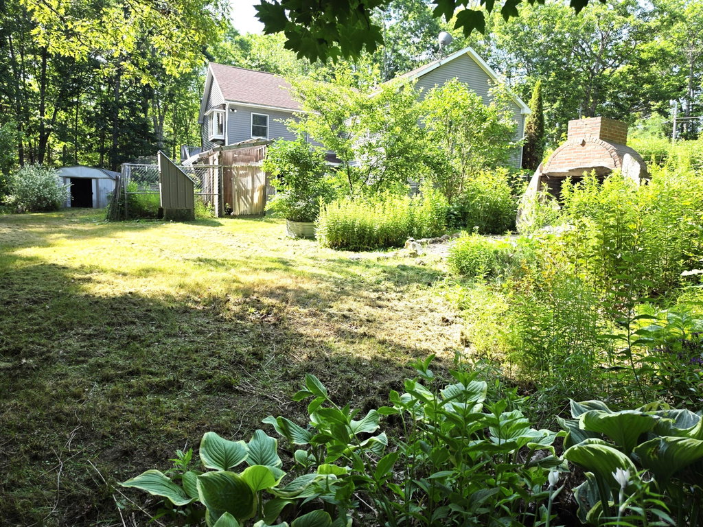 Backyard2