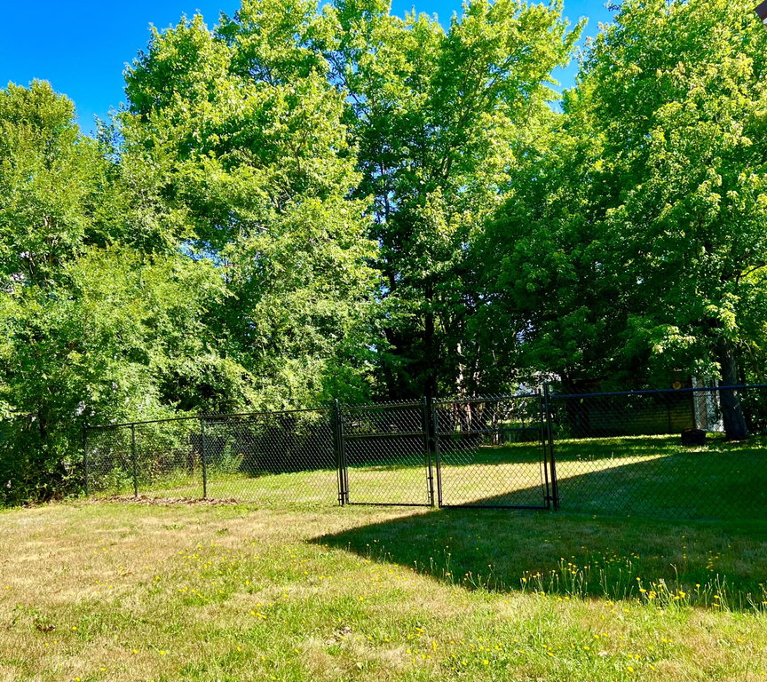 Side lawn and fence
