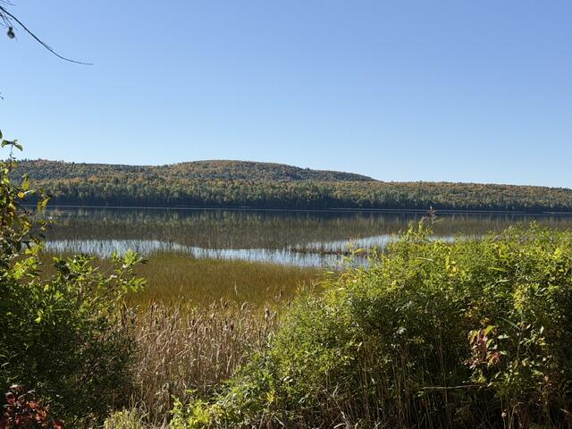 Lot #38 290 Fire Lane Sinclair