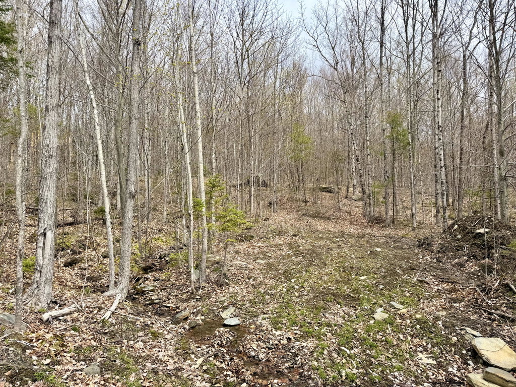 Lot 2 Mooseley Ridge Road Phillips