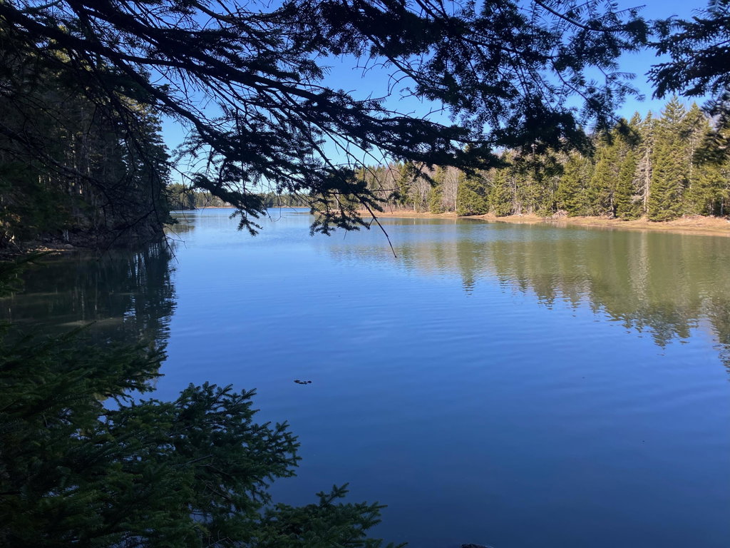 Water View