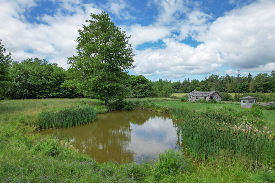 Farm Pond