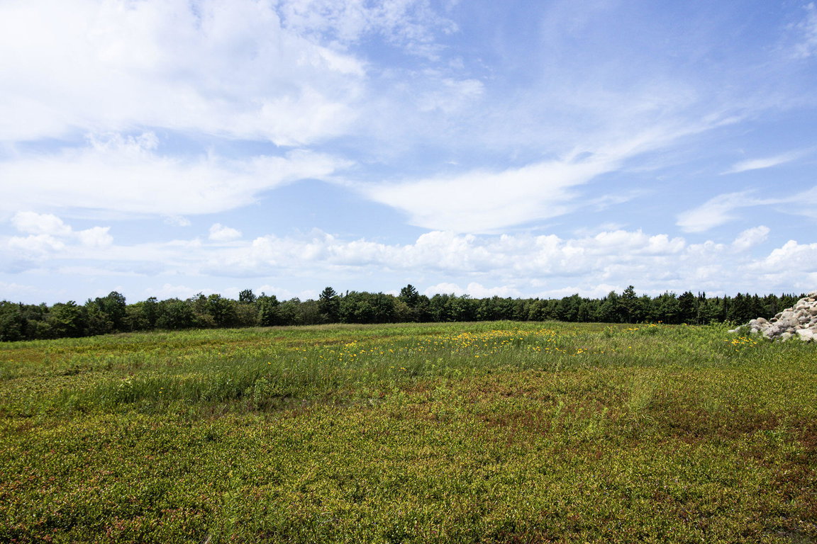 Lot 9