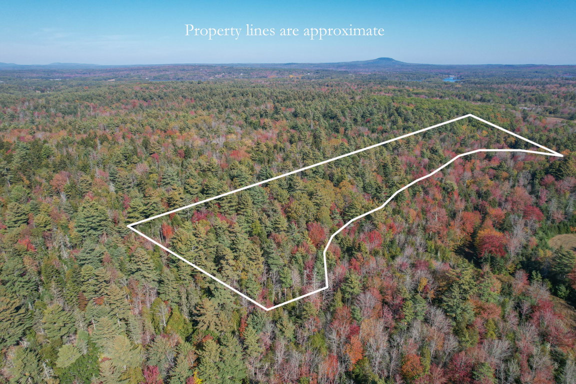 Property lines 2