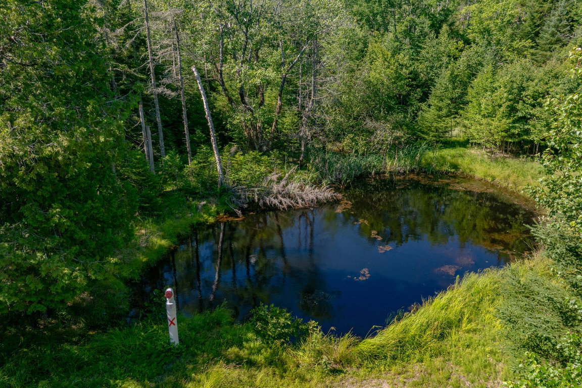 31-Lot 12_ Merganser Drive-DTP