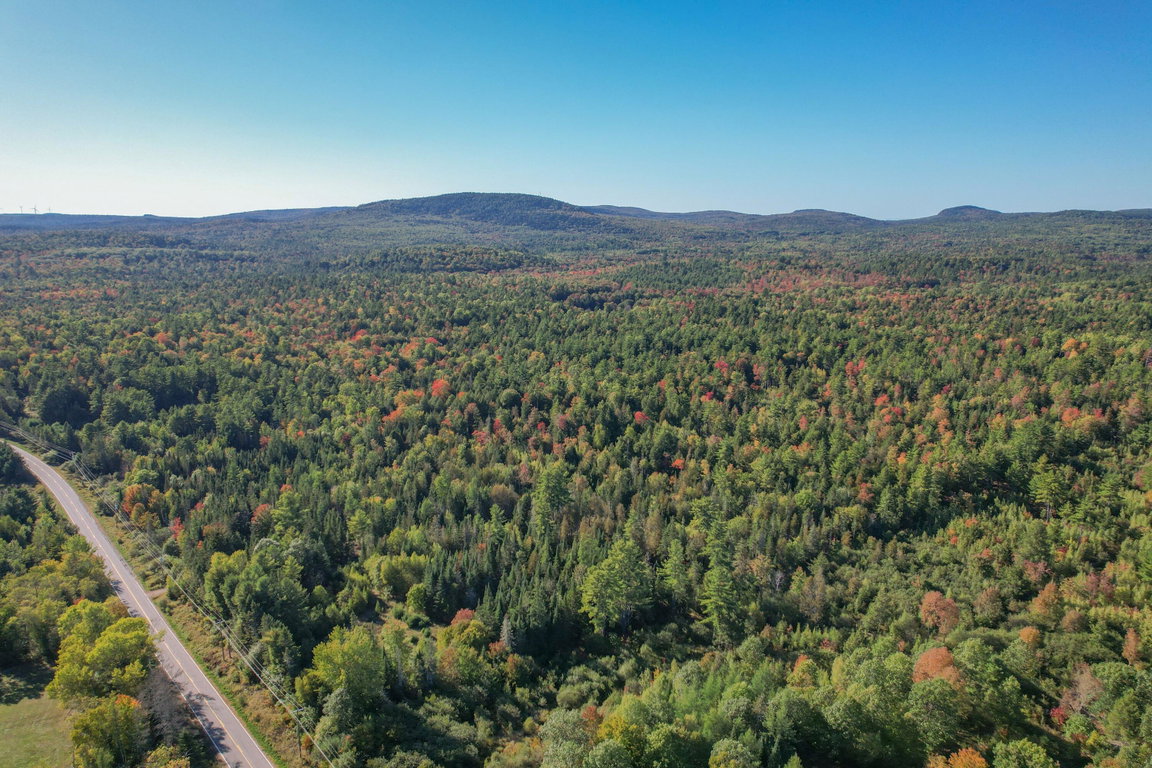 DJI_0567