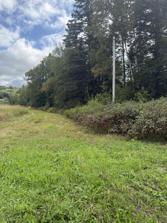 1080 Perley Brook Road Fort Kent