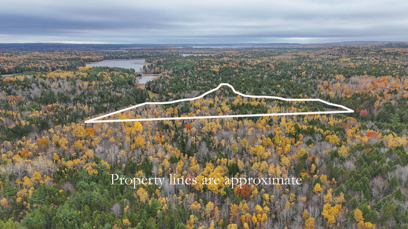 Lot 3-B West Branch Road Mariaville