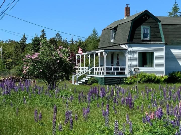 30 Dog Point Road