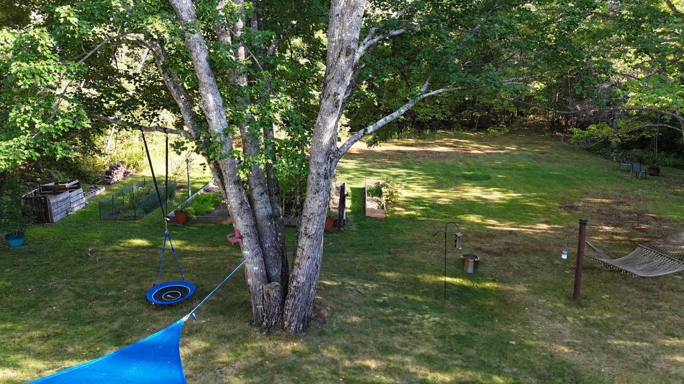 back yard
