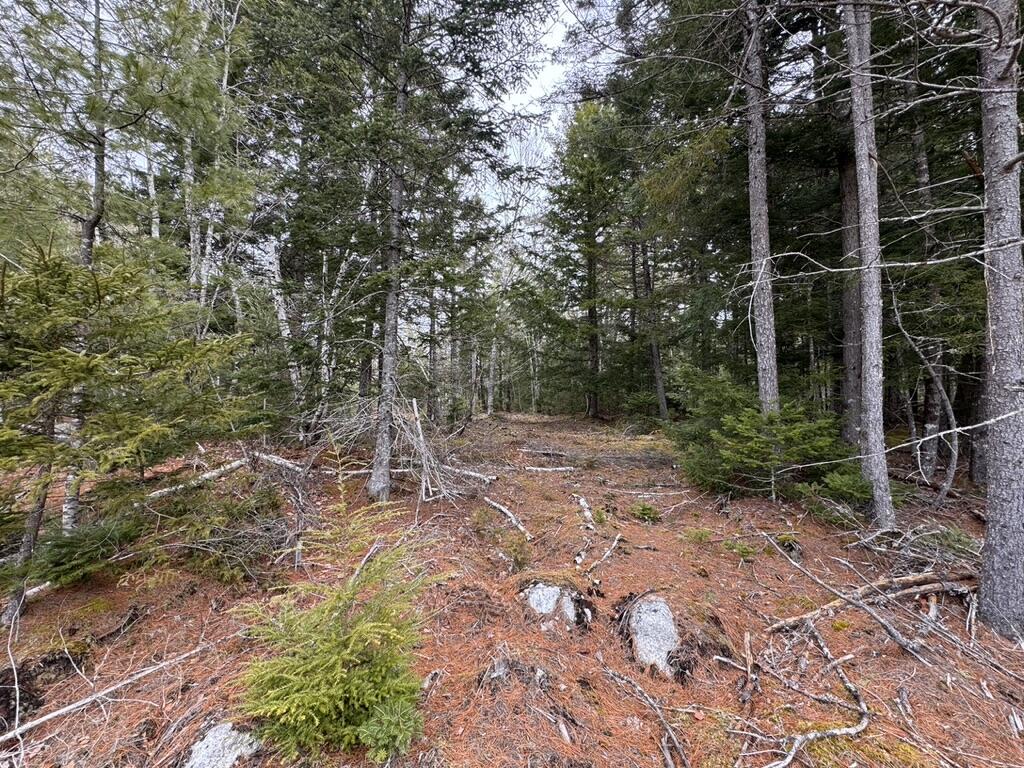 Lot 63