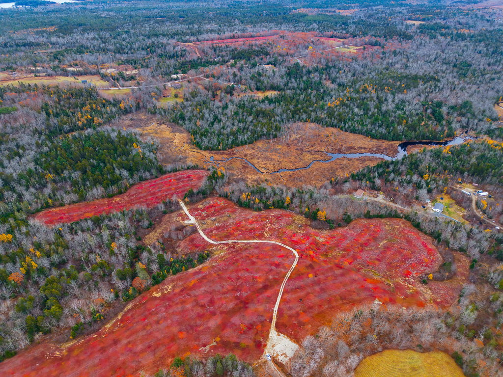 MAP 31 LOT 29
